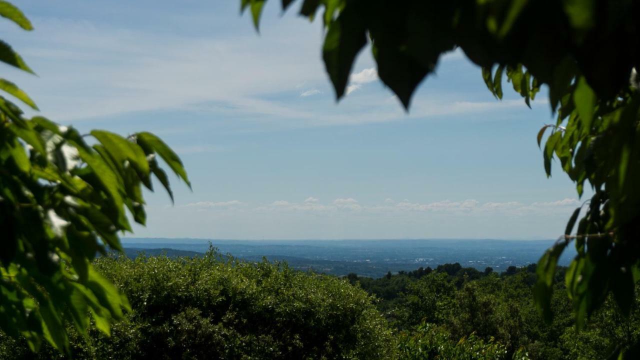 Les Cerisiers De Stella Villa Blauvac Buitenkant foto